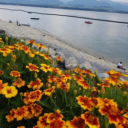 Holiday home Drevenica Marka Beachfront Stunning View By The Liptovsky Trnovec